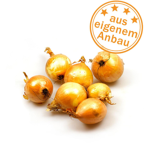 Produktfoto zu Zwiebeln, eigen