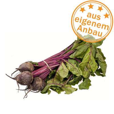 Produktfoto zu Rote Bete im Bund, eigen