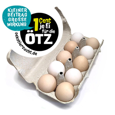 Produktfoto zu 10 Eier, Größe L