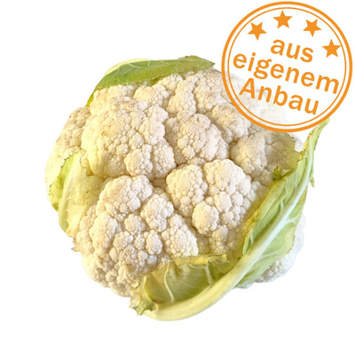 Produktfoto zu Blumenkohl, eigen, Lagerware mit Flecken