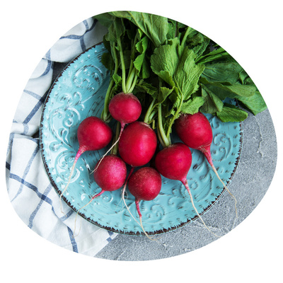 KI generiert: Rote Radieschen mit Blättern auf einem dekorativen blauen Teller, daneben ein weiß-blau kariertes Tuch.
