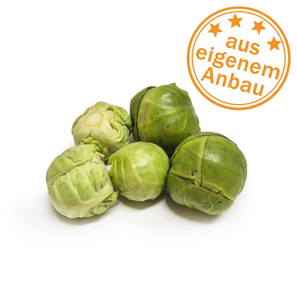 Produktfoto zu Rosenkohl, eigen