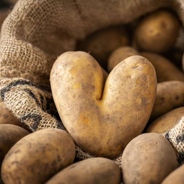 Ein Komposthaufen mit verschiedenen pflanzlichen Abfällen in einer Holzkiste.