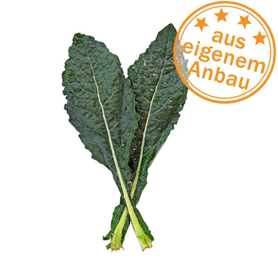 Produktfoto zu Palmkohl, eigen mit Lochfraß