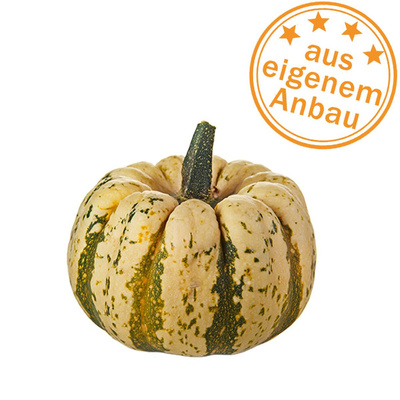 Produktfoto zu Kürbis Sweet Dumpling, eigen, 0,55-0,8kg