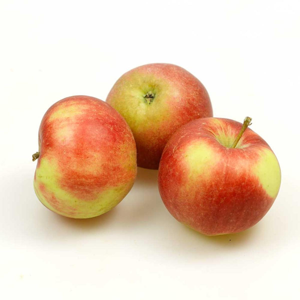 Produktfoto zu Apfel - Rubelit