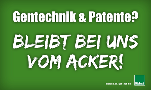 Ein Komposthaufen mit verschiedenen pflanzlichen Abfällen in einer Holzkiste.