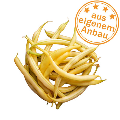 Produktfoto zu Buschbohnen, gelb, eigen