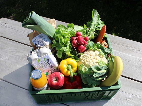 Frisches Obst, Gemüse, Eier und Brot in einer bunten Auswahl.