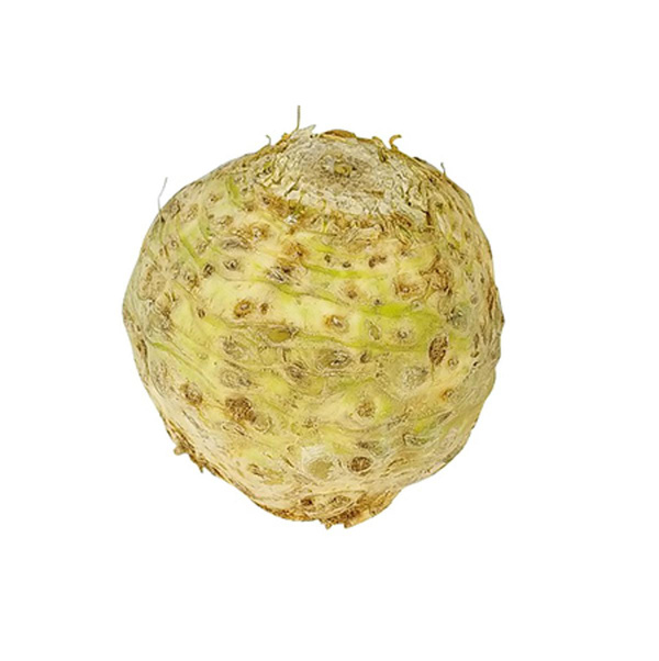 Produktfoto zu Knollensellerie, klein