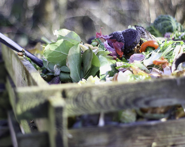 Ein Komposthaufen mit verschiedenen pflanzlichen Abfällen in einer Holzkiste.