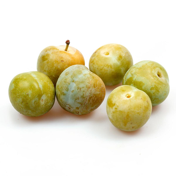 Produktfoto zu Reineclaude