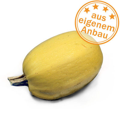 Produktfoto zu Kürbis Spaghetti, eigen, ca. 1 kg