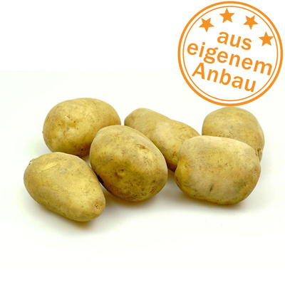 Produktfoto zu Kartoffeln Rumba, 2 kg, mehlig