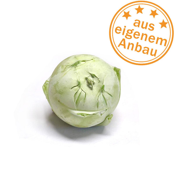 Produktfoto zu Kohlrabi, ohne Blatt, 2. Wahl, eigen