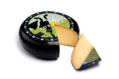 Produktfoto zu Gouda alt