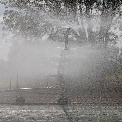 KI generiert: Ein Bewässerungssystem spritzt Wasser auf ein Feld. Im Hintergrund sind Bäume sichtbar.