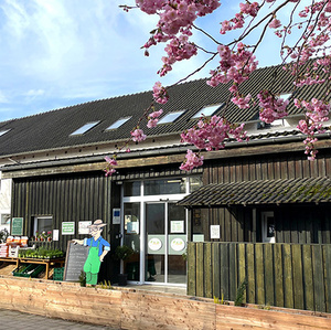 Ein Hofladen mit Holzfassade und blühendem Baum im Vordergrund.