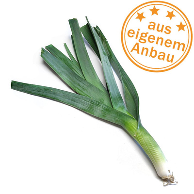 Produktfoto zu Porree, klein, eigen