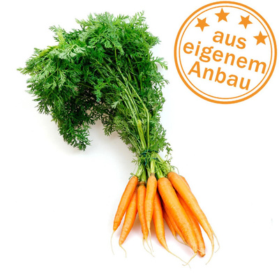 Produktfoto zu Bundmöhren, eigen