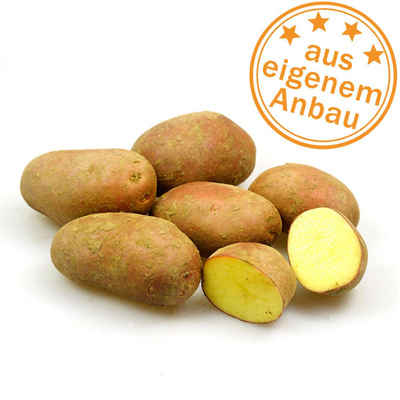 Produktfoto zu Kartoffeln Laura, 2 kg, rotschalig , vfk