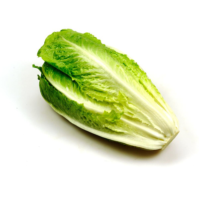 Produktfoto zu Mini-Romanasalat