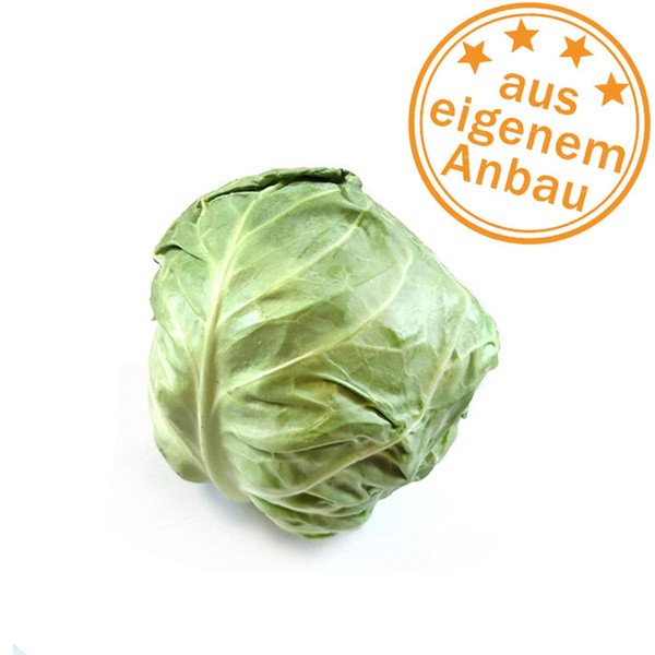 Produktfoto zu Weißkohl klein, 400-500g, besonders zart