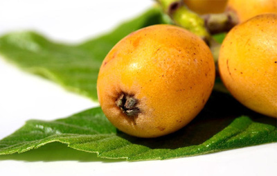 Produktfoto zu Mispel