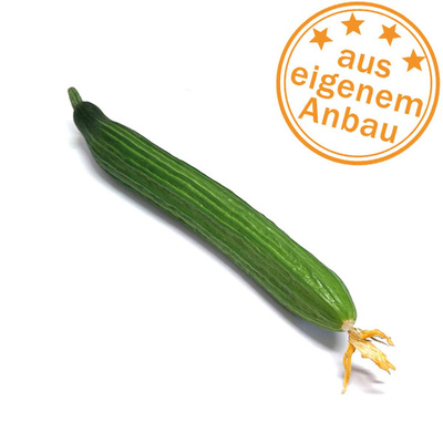 Produktfoto zu Schlangengurke, eigen