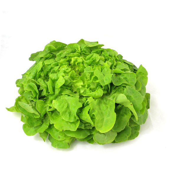 Produktfoto zu Eichblattsalat, grün