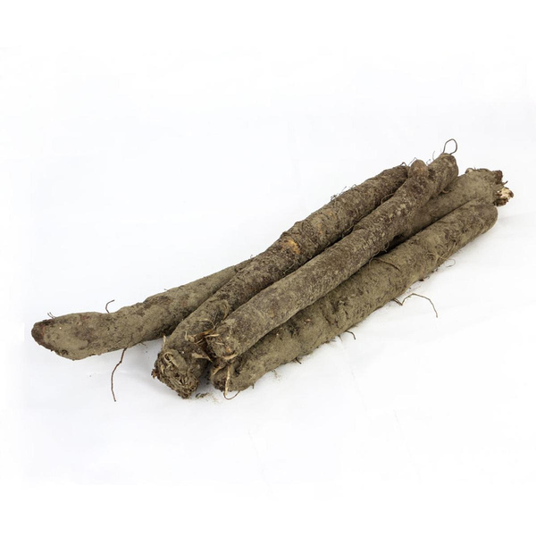 Produktfoto zu Schwarzwurzel