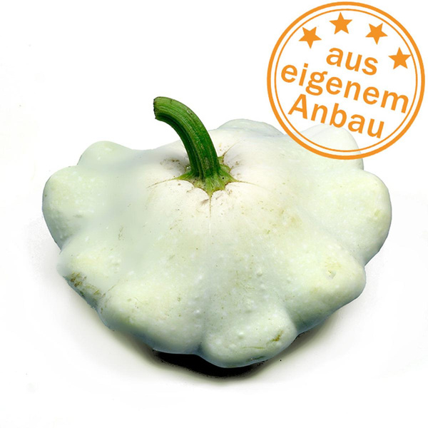Produktfoto zu Kürbis Patisson, eigen, ca. 1 kg