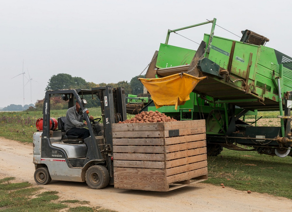 Ein Komposthaufen mit verschiedenen pflanzlichen Abfällen in einer Holzkiste.