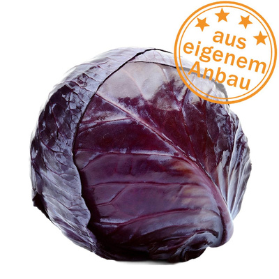 Produktfoto zu Rotkohl, klein, eigen
