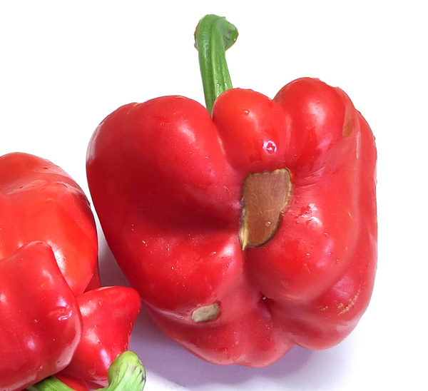 KI generiert: Zwei rote Paprikaschoten mit leicht deformierter Form und grünen Stielen.