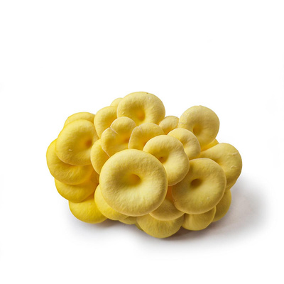 Produktfoto zu Zitronenseitlinge