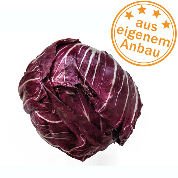 Produktfoto zu Radicchio, mini, eigen, 100-150g