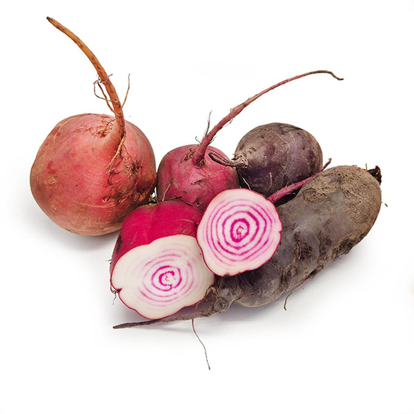 Produktfoto zu Bete-Mix (rot, gelb, geringelt, länglich)