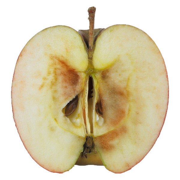 KI generiert: Das Bild zeigt eine stilisierte Illustration einer gelben Karotte mit grünem Blattwerk auf einem hellgrünen Hintergrund. Der Hauptinhalt ist die minimalistische Darstellung der Karotte.