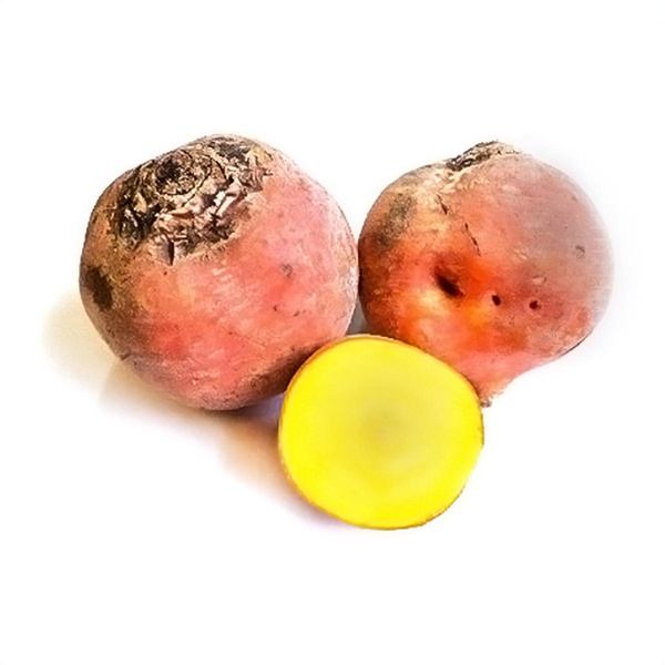 Produktfoto zu Gelbe Bete