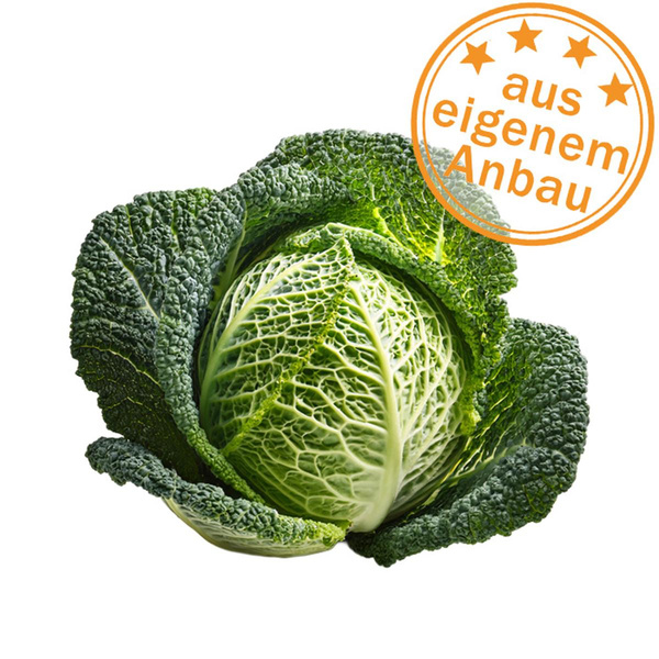 Produktfoto zu Wirsing, klein, eigen