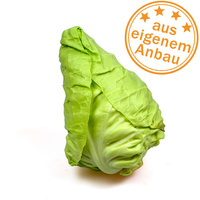 KI generiert: Ein Spitzkohl mit einem Stempel "aus eigenem Anbau".