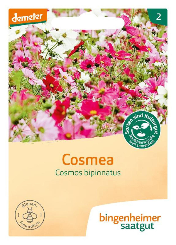 Produktfoto zu Schmuckkörbchen Cosmea