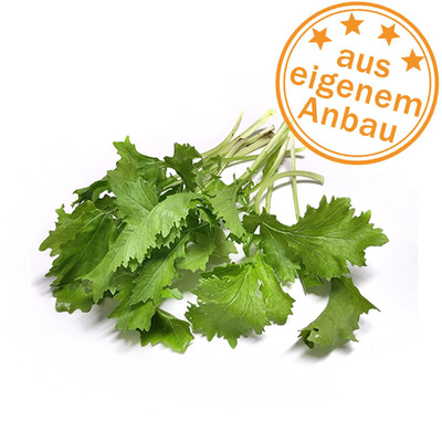 Produktfoto zu Rübstiel, lose, eigen