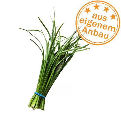 Produktfoto zu Schnittknoblauch, eigen