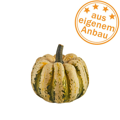 Produktfoto zu Kürbis Sweet Dumpling, klein, eigen, 0,35-0,5kg
