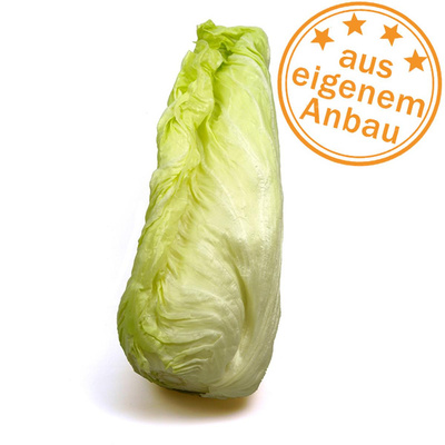 Produktfoto zu Zuckerhut-Salat, eigen