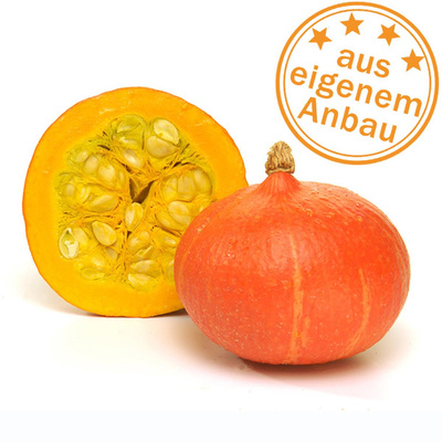 Produktfoto zu Kürbis Hokkaido, eigen, 1,5-2 kg