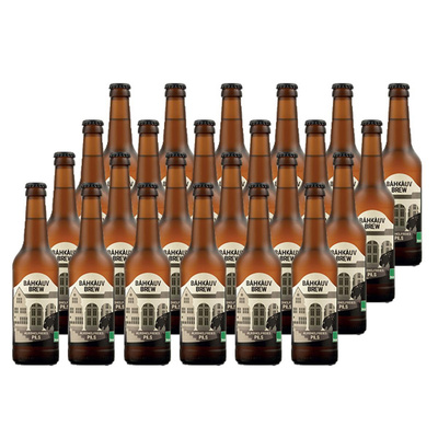 Produktfoto zu Bahkauv Pils alkoholfrei Kasten 24 x 0,33l