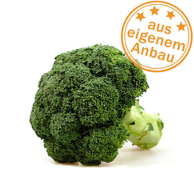 Produktfoto zu Broccoli, eigen